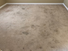 Carpet Cleaning Services in Orlando, FL